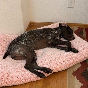 Washable Dog Bed Deluxe Plush Dog Crate Beds Fulffy Comfy Kennel Pad Anti-Slip P